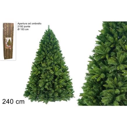 PINO HIMALAYA 240 A PARAGUOMBRELLOAS