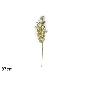 RAMA DECORACION PURPURINA 87 CM ORO