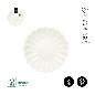 PLATO FORMA RIZADO IVORY 23 CM CARTON 6 UDS