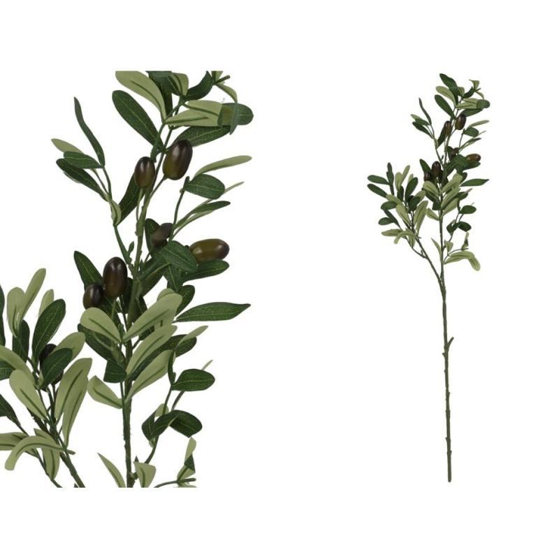 VARA OLIVO NATUR 65 CM
