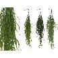 COLGANTE RHIPSALIS PLASTICO 96 CM