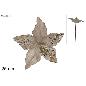 TALLO FLOR TERCIOPELO BRILLANTE 25 CM CHAMPAN