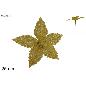 TALLO FLOR BRILLANTE DORADO
