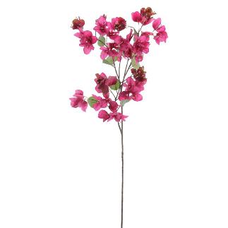 BOUGANVILLEA FUCSIA