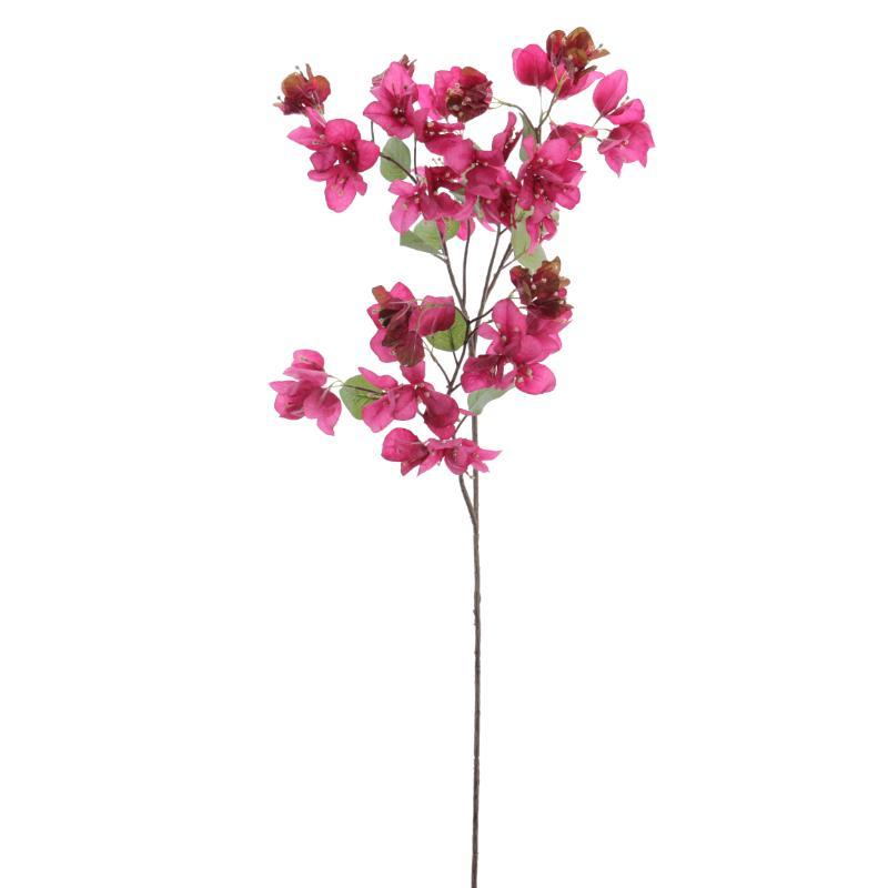 BOUGANVILLEA FUCSIA