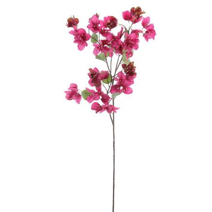 BOUGANVILLEA FUCSIA