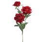 PEONIA X3 ROJO