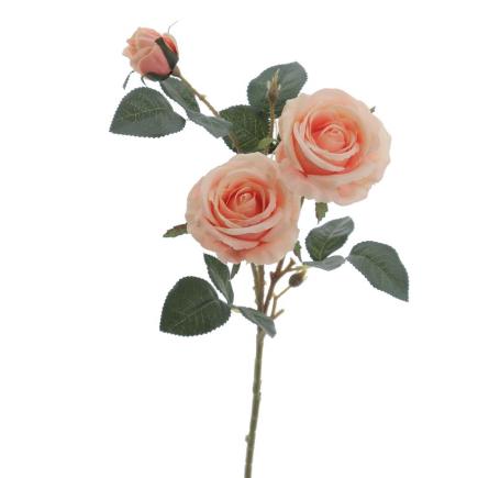ROSA X3 SALMON