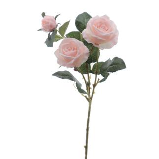 ROSA X3 ROSA