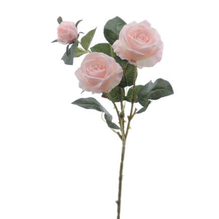 ROSA X3 ROSA