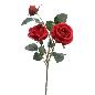 ROSA X3 ROJO