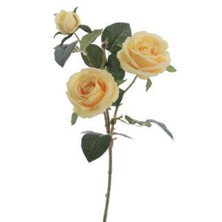 ROSA X3 AMARILLO
