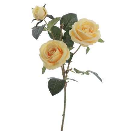 ROSA X3 AMARILLO