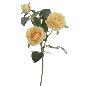 ROSA X3 AMARILLO
