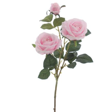 ROSA X3 MALVA