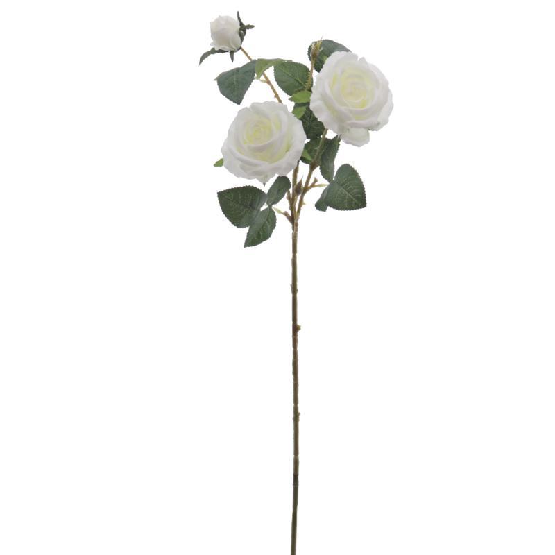 ROSA X3 CREMA