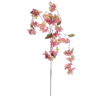 BOUGANVILLA COLGANTE FUCSIA