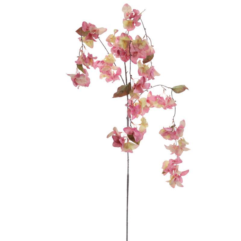 BOUGANVILLA COLGANTE FUCSIA