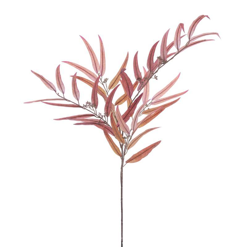 EUCALYPTUS 1.20 MTS SIENA
