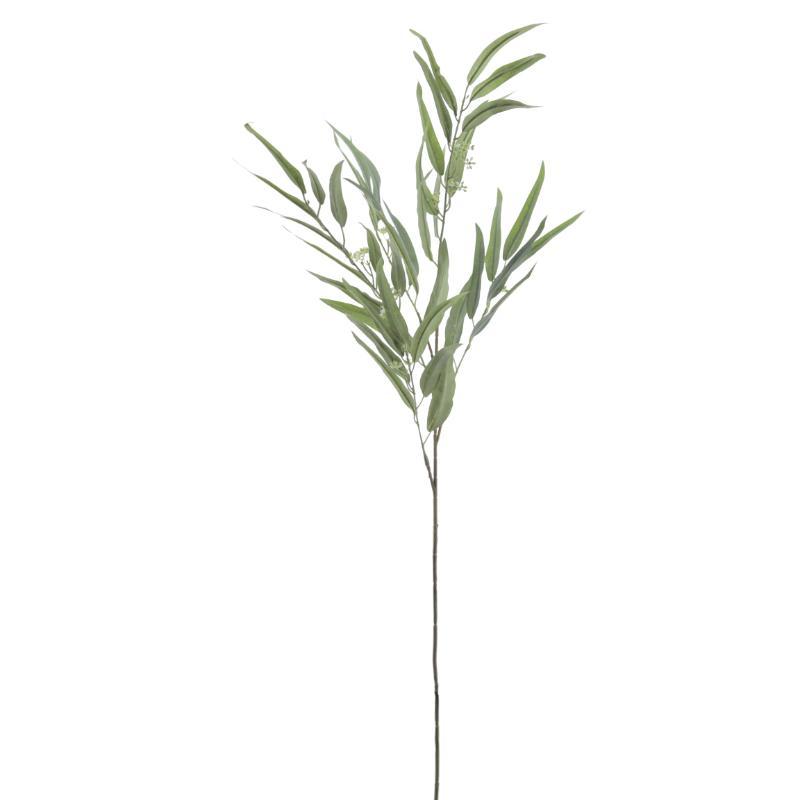 EUCALYPTUS 1.20 MTS VERDE