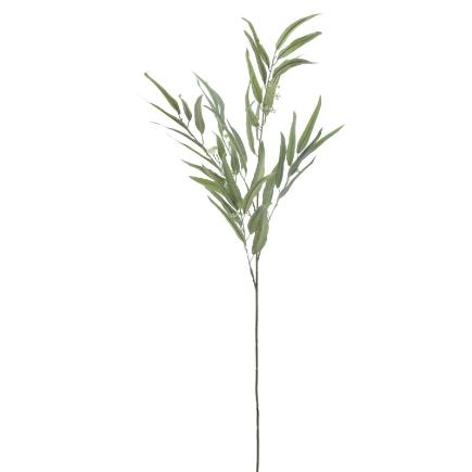 EUCALYPTUS 1.20 MTS VERDE