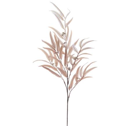 EUCALYPTUS 1.20 MTS BEIGE