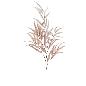 EUCALYPTUS 1.20 MTS BEIGE