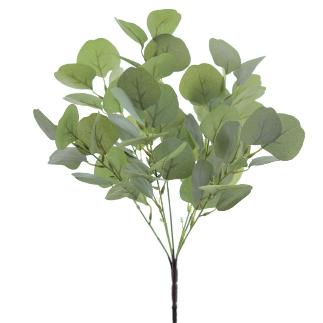 RAMO EUCALIPTUS VERDE