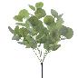 RAMO EUCALIPTUS VERDE