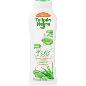 TULIPAN NEGRO GEL 650 ML ALOE VERA Y JOJOBA