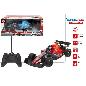 COCHE RC FORMULA C/LUZ SPEED&GO