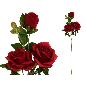 VARA ROSAS (A) X3 -85 CM ROJO