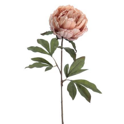 PEONIA 83 CMS MALVA