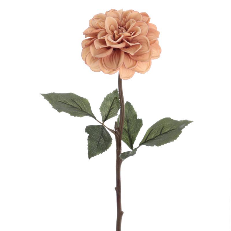 DAHLIA 58 CMS MALVA