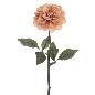 DAHLIA BEIGE