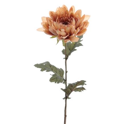 MUM 68 CMS BEIGE