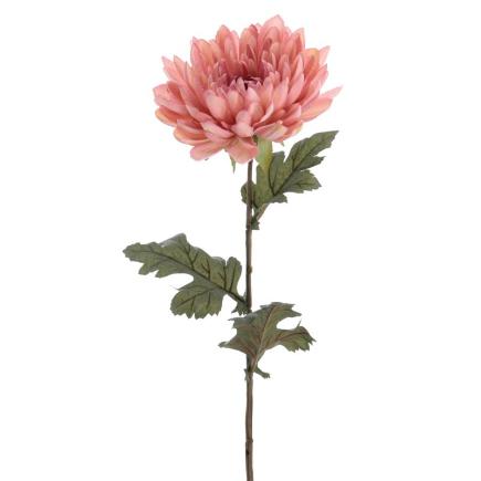 MUM 68 CMS ROSA