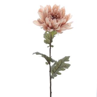 MUM 68 CMS MALVA