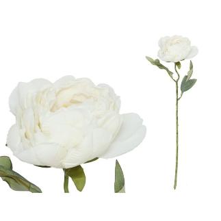 VARA PEONIA DRIED 50 CM BLANCO