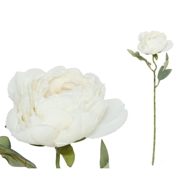 VARA PEONIA DRIED 50 CM BLANCO