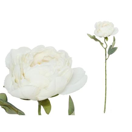 VARA PEONIA DRIED 50 CM BLANCO