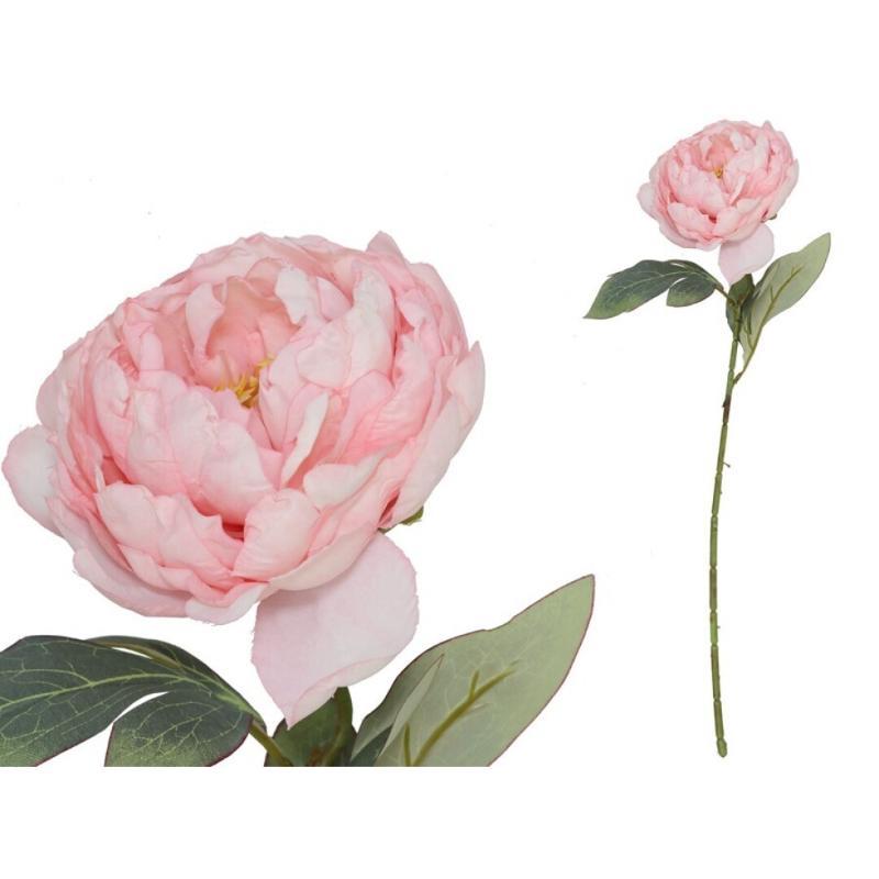 VARA PEONIA DRIED 50 CM ROSA