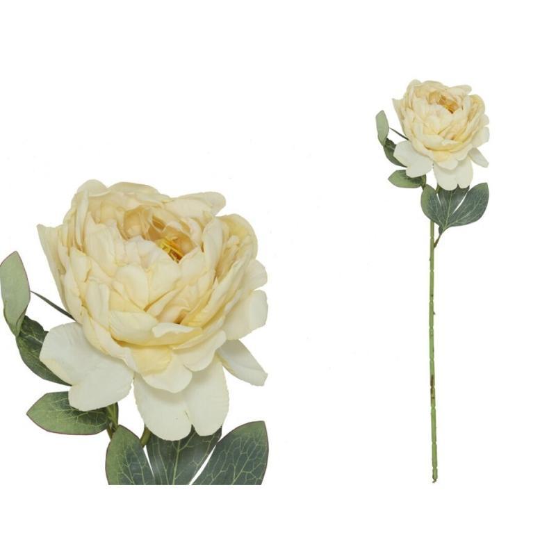 VARA PEONIA DRIED 50 CM OCRE