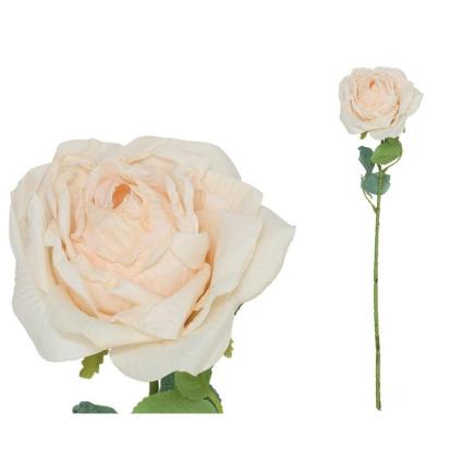 VARA ROSA DRIED 51 CM BEIGE