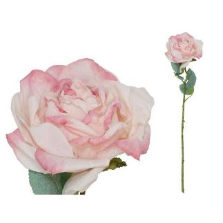 VARA ROSA DRIED 51 CM ROSA