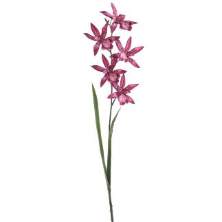 ORCHID CALANTHE 72 CM PURPURA