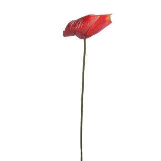 ANTHURIUM 78 CM ROJO