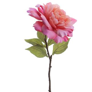 PEONIA 59 CM CORAL