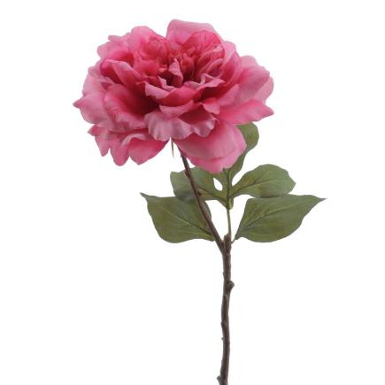 PEONIA 59 CM FUCSIA