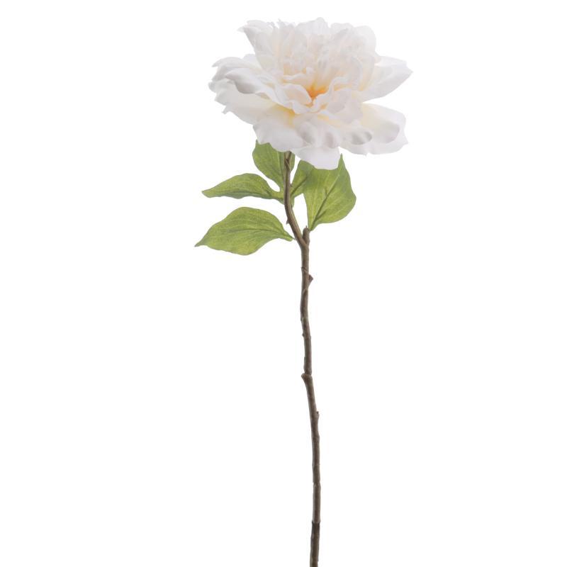 PEONIA 59 CM CREMA